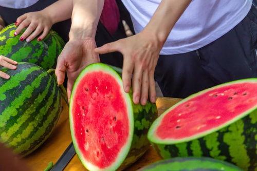 网爆吃瓜 大学,大学生群体现象解析