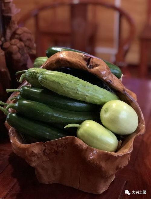 陇南网红吃瓜是谁,揭秘陇南网红吃瓜背后的故事