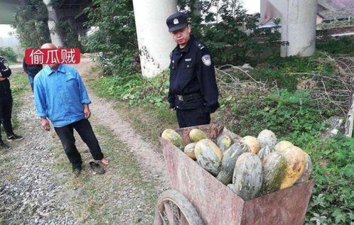 广西夫妻网红吃瓜事件,真相揭秘引网友热议