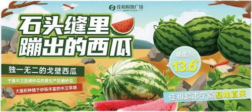 吃瓜网每日大赛入口mrds,揭秘热门赛事精彩瞬间