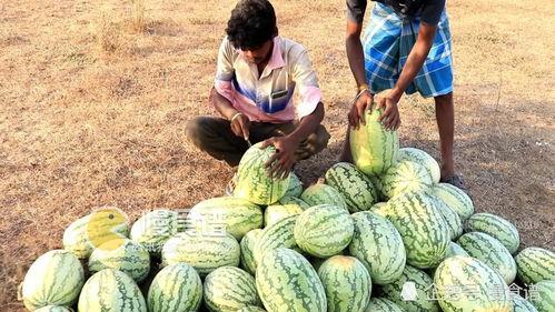 网红星八卦实时吃瓜,实时追踪娱乐圈最新“吃瓜”动态