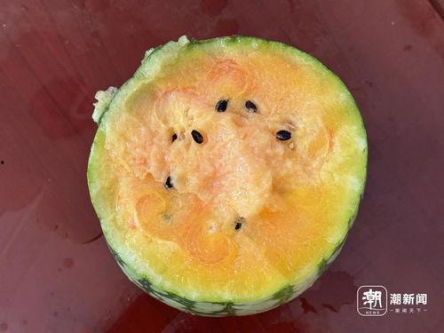 网爆吃瓜最新,揭秘娱乐圈最新热点事件