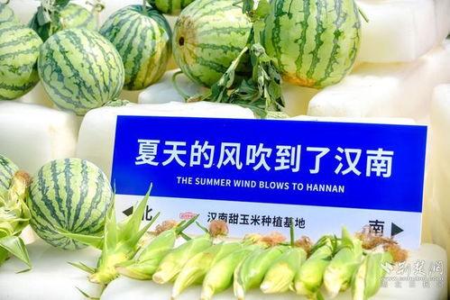 网爆吃瓜最新,揭秘娱乐圈最新热点事件