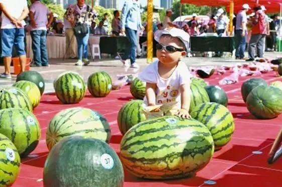 52吃瓜网每日大赛,每日大赛精彩回顾，瓜友狂欢盛宴