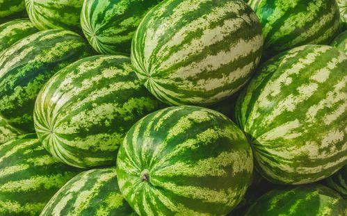 吃瓜生活网,带你领略网络世界的酸甜苦辣