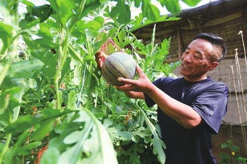 吃瓜生活网,带你领略网络世界的酸甜苦辣