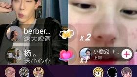 网红吃瓜二辰小霸宠,揭秘吃瓜界的“瓜王”传奇