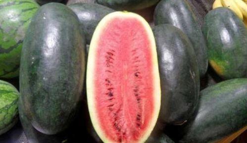 免费黑瓜吃料网入口最新,畅享美食新体验