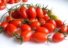 快手网红圣女果吃瓜,揭秘网红圈幕后故事