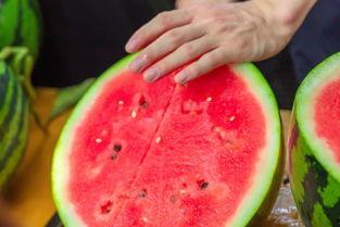 莲雾吃瓜官网,揭秘热带水果界的清新之选