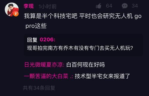 黑客网免费吃瓜独家爆料八卦,黑客网免费吃瓜背后的惊人八卦