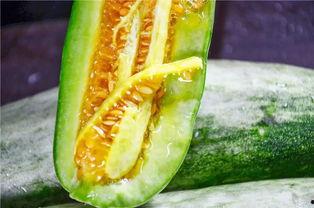 免费吃网红瓜最新,免费品尝背后的秘密与诱惑