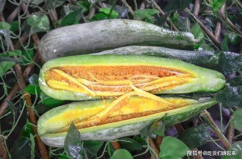 免费吃网红瓜最新,免费品尝背后的秘密与诱惑