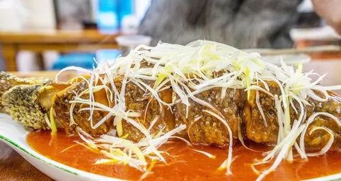 网红麻瓜怎么吃才好吃呢