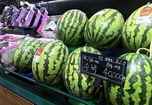 韩国网红echi吃瓜,揭秘娱乐圈幕后故事