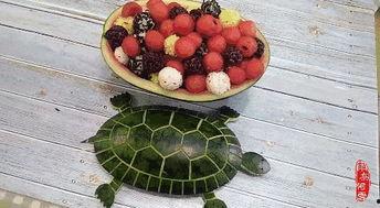 网红吃瓜相册怎么做,趣味横生的幕后故事