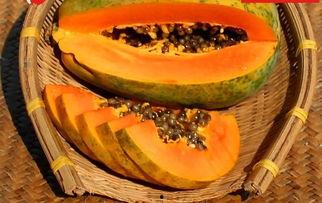 52吃瓜官网入口,带你畅游娱乐圈的瓜田秘境