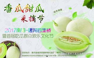 网红吃瓜大集合在线观看,在线观看，笑料连连