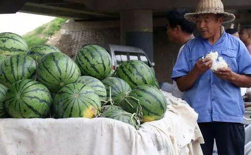 山西吃瓜事件网红视频,网红视频揭秘当地风俗争议