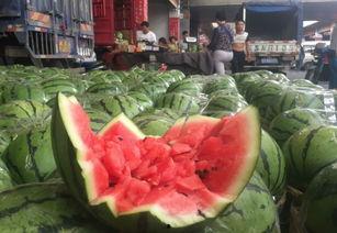 青海吃瓜网今日最新消息,最新资讯速递，揭秘今日热点事件！