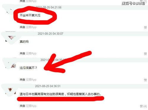 网传吃瓜什么意思,网络热词背后的文化现象