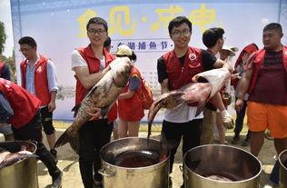 网红吃瓜街,揭秘网络红人的幕后生活