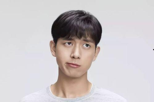 吃瓜网李,网络红人的崛起与影响力