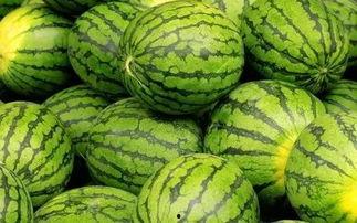 吃瓜网官网免费