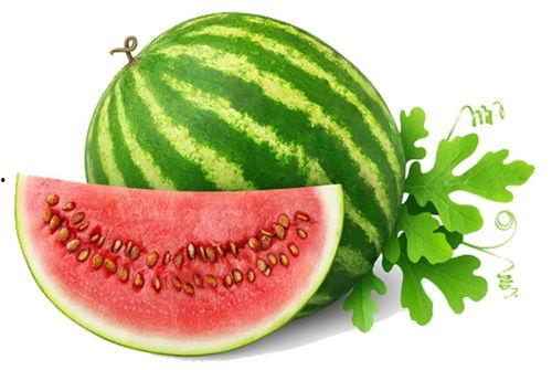 吃瓜网官网免费