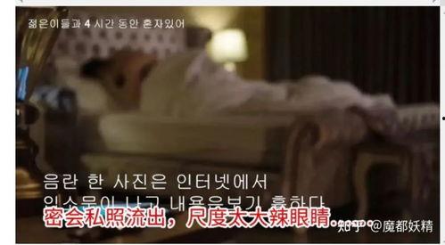 网红吃瓜合集在线视频,盘点热门在线视频合集