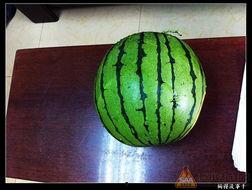 吃瓜网官网17,带你领略网络娱乐新风向