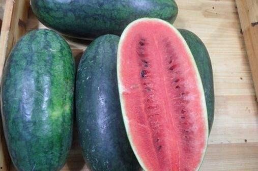 吃瓜网官网17,带你领略网络娱乐新风向