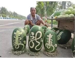 吃瓜网红王大炮,吃瓜网红的麻辣点评与娱乐圈风云