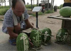 吃瓜网红王大炮,吃瓜网红的麻辣点评与娱乐圈风云