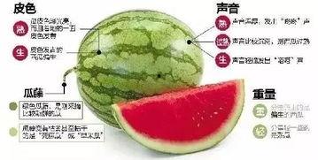 西宁网红吃瓜群微信,揭秘网络社交圈的趣味与争议