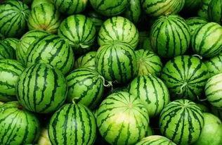 西宁网红吃瓜群微信,揭秘网络社交圈的趣味与争议