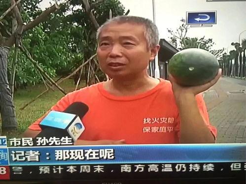 热门事件人人吃瓜网,人人吃瓜网聚焦最新热门事件