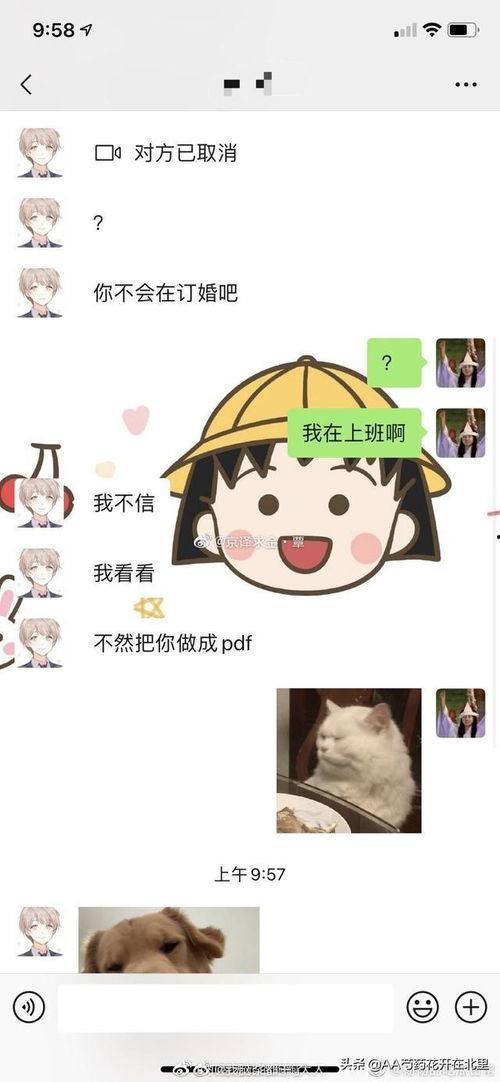 网红瓜都是谁吃的图片搞笑,揭秘谁才是幕后“吃货”大赢家！