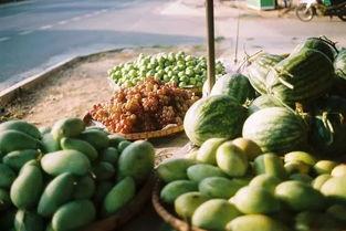 除了吃瓜网还有什么,除了吃瓜网，还有哪些热门资讯平台等你探索