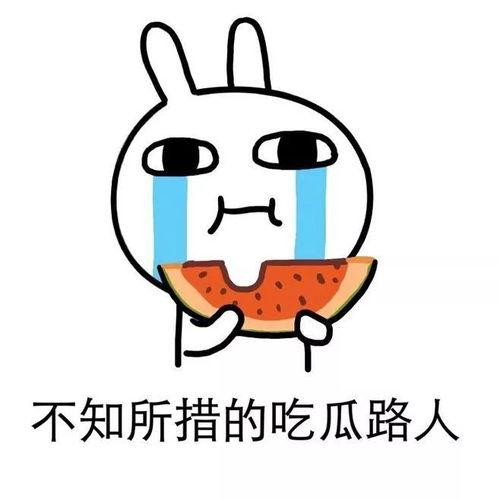 除了吃瓜网还有什么,除了吃瓜网，还有哪些热门资讯平台等你探索