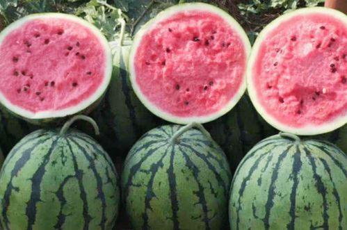 吃瓜网爆料真假辨别,真假难辨，事件真相究竟如何？