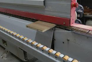 吃瓜网红加工厂