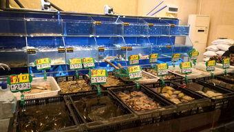 吃瓜网红加工厂