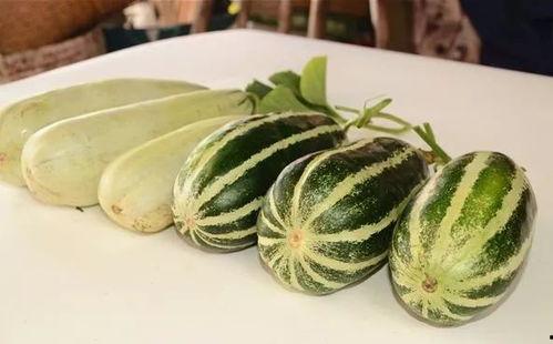 内蒙古吃瓜网红叫什么