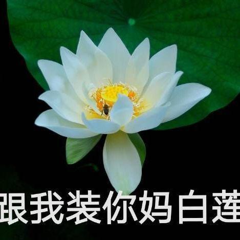 网红吃瓜头像微信背景,揭秘微信背景下的热门话题与趣味瞬间