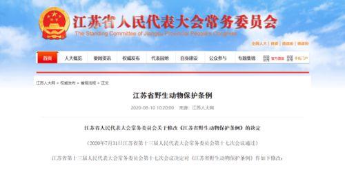 南京吃瓜协会官网首页,美食探店，趣味生活，尽在这一站