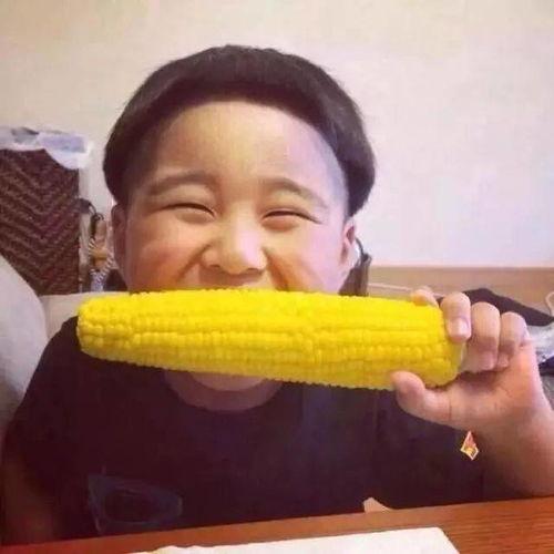 网红吃瓜头像搞笑男,揭秘网络红人的趣味生活