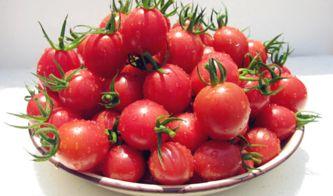 网红小鱼海棠最新吃瓜