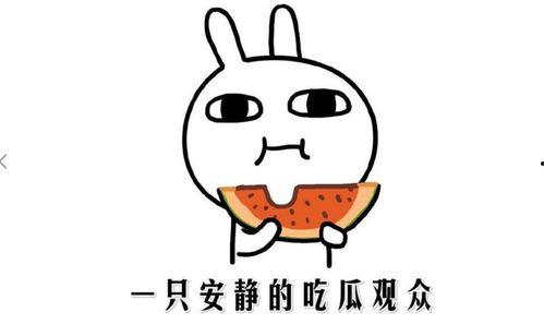 抖音吃网红瓜,揭秘网络红人的幕后故事