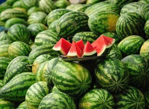 十二吃瓜网,揭秘娱乐圈幕后故事，带你领略明星真实生活